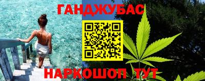прущие грибы Бердск
