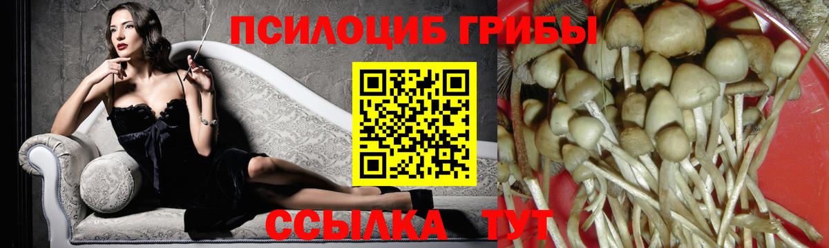 Ивантеевка  Галлюциногенные грибы Psilocybe  Вход с VPN 